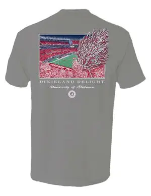 Dixieland Delight Stadium