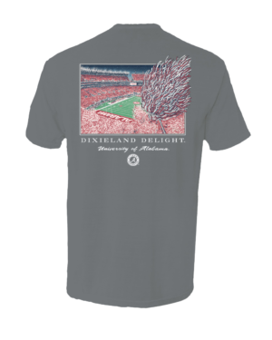 Dixieland Delight Stadium T-Shirt